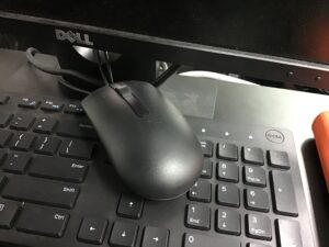 computer mice.jpg computer mice.jpg