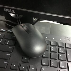 computer mice.jpg